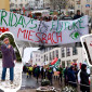 Klimastreik Miesbach Collage